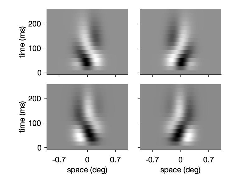 Phase-invariant filters for left and right