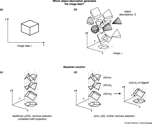 Bayesian Objects