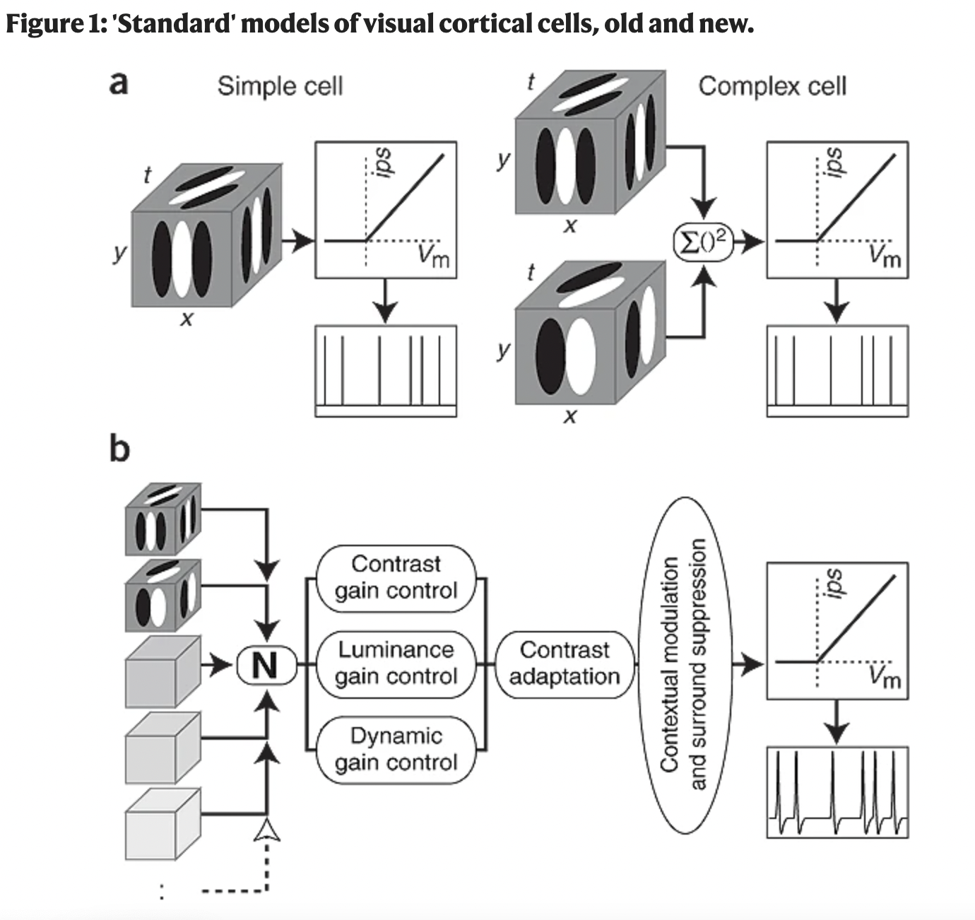 The Standard Model