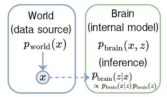 P world and P brain (Bayesian)