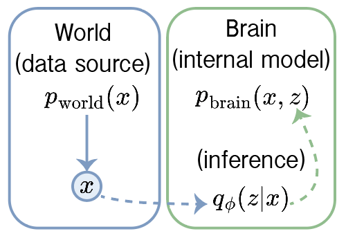 P world and P brain (Variational)